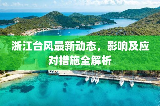 浙江台风最新动态，影响及应对措施全解析