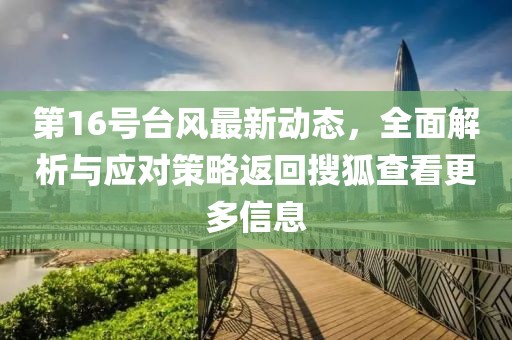 第16号台风最新动态，全面解析与应对策略返回搜狐查看更多信息