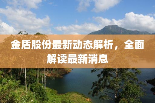 金盾股份最新动态解析，全面解读最新消息