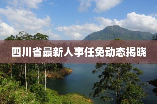 四川省最新人事任免动态揭晓